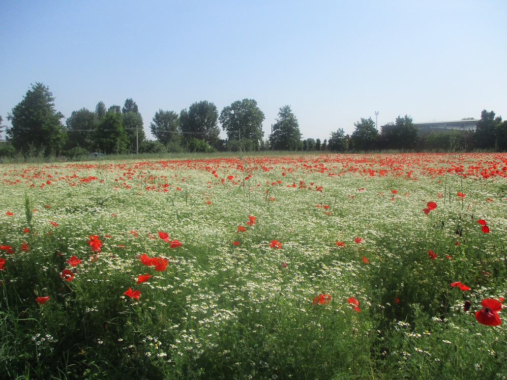 uscita ad agropolis