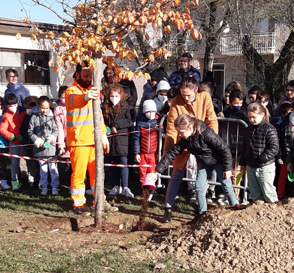 festa dell'albero