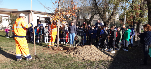 festa dell'albero