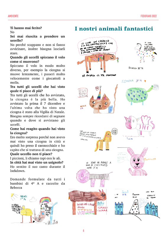 pagina 6